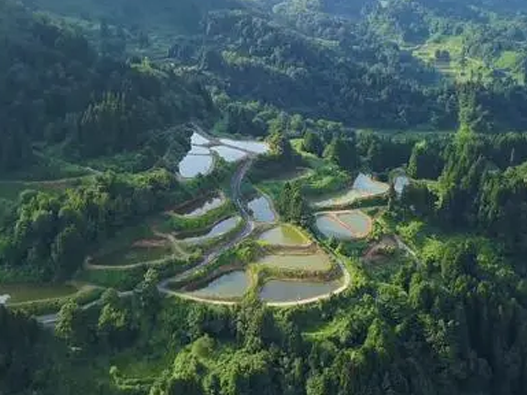 航拍視頻版權登記