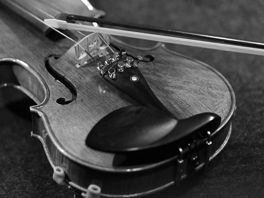 樂器商標類別-樂器行業商標注冊什么商標類別?