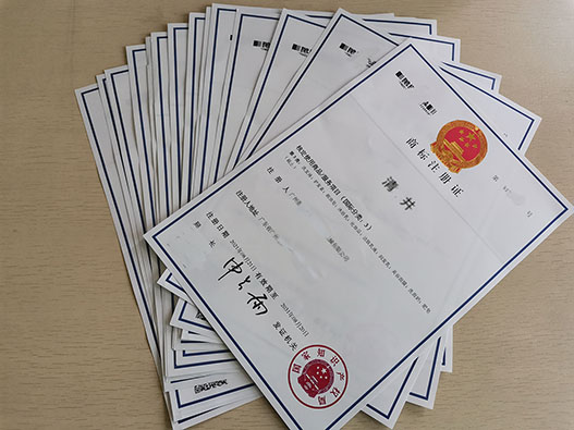 商標被駁回后是否要復(fù)審?關(guān)鍵問題解答