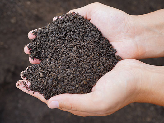 肥料商標(biāo)注冊