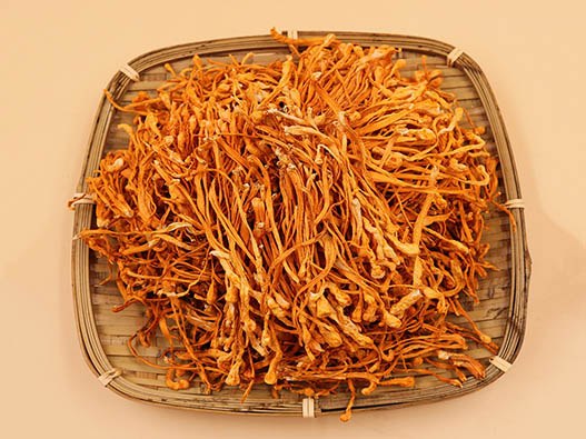 蟲草花商標注冊哪一類？