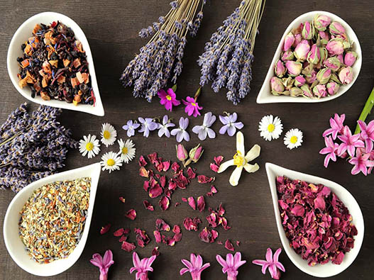 花草茶商標注冊哪一類？