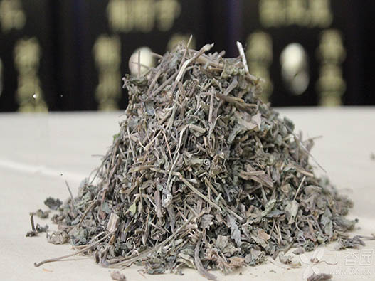 絞股藍(lán)商標(biāo)注冊(cè)哪一類?