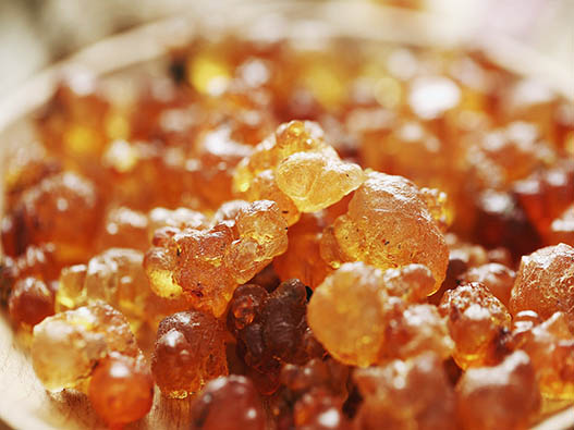 桃膠商標注冊哪一類?