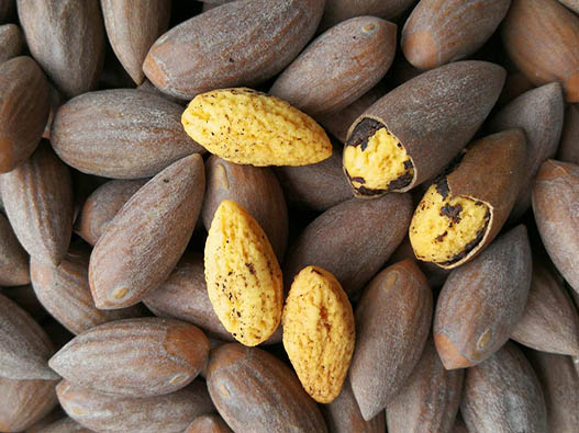 香榧商標注冊哪一類?