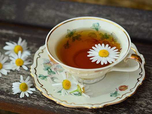 夏桑菊商標(biāo)注冊(cè)哪一類?