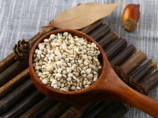 薏米商標注冊哪一類？