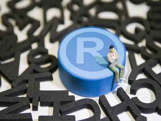 對惡意搶注商標異議成功的案例!