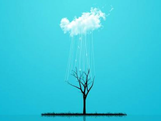 生蠔(牡蠣)商標注冊