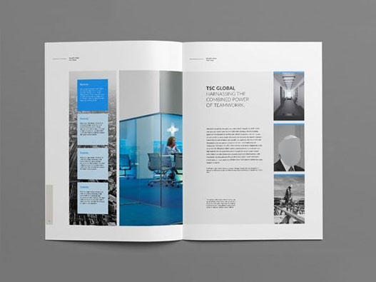 魚肚商標注冊屬于哪一類?