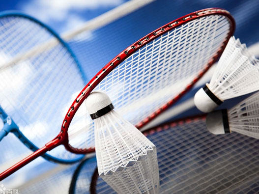 羽毛球拍商標(biāo)屬于第幾類-羽毛球拍商標(biāo)注冊屬于哪一類?「