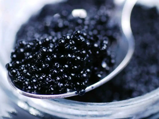 魚子醬商標注冊屬于哪一類?