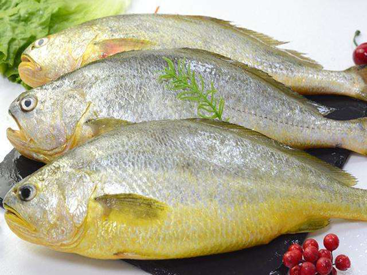 黃花魚商標(biāo)注冊(cè)