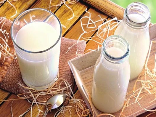 鮮牛奶商標注冊哪一類?