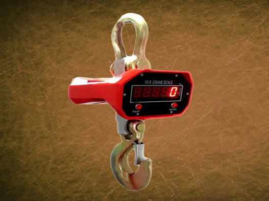 電子吊秤商標(biāo)注冊(cè)