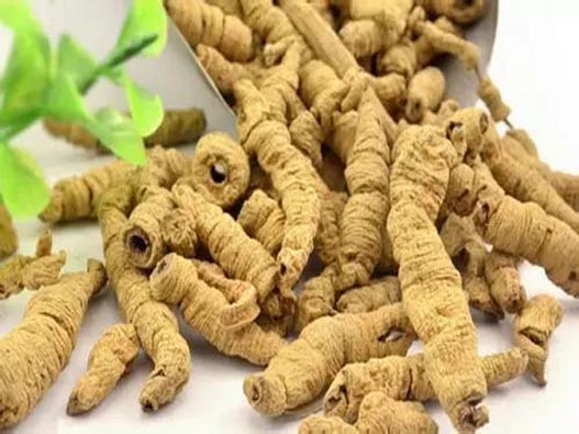 巴戟天商標(biāo)注冊(cè)的費(fèi)用有哪些?