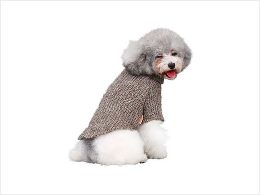 寵物鞋服商標注冊哪一類？