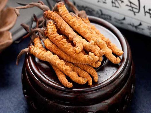 冬蟲夏草商標注冊的流程是什么?