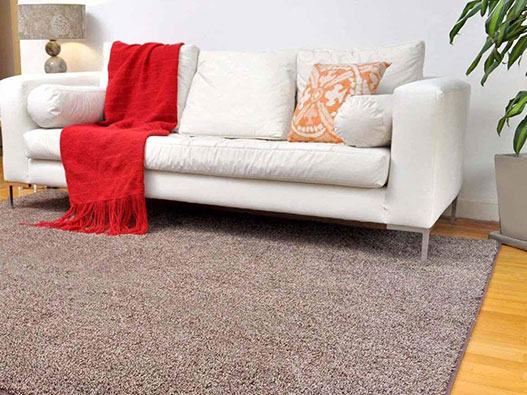 地毯商標(biāo)注冊哪一類？