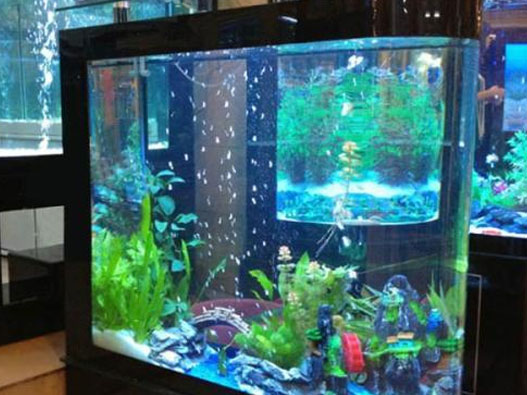 魚缸商標(biāo)注冊(cè)屬于哪一類？