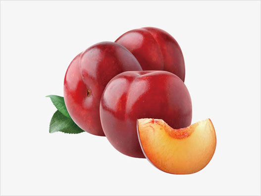 李子商標注冊哪一類？