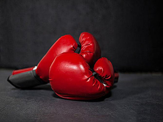 拳擊手套公司商標注冊屬于哪一類?