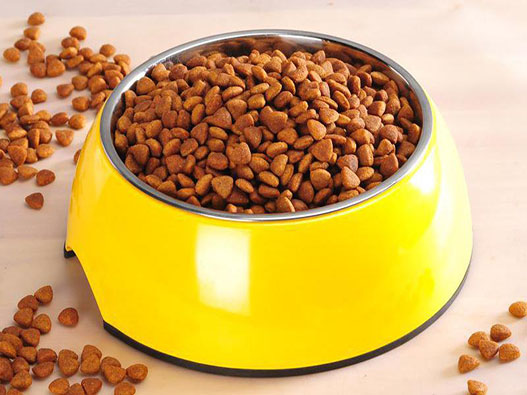 寵物食品商標注冊哪一類?