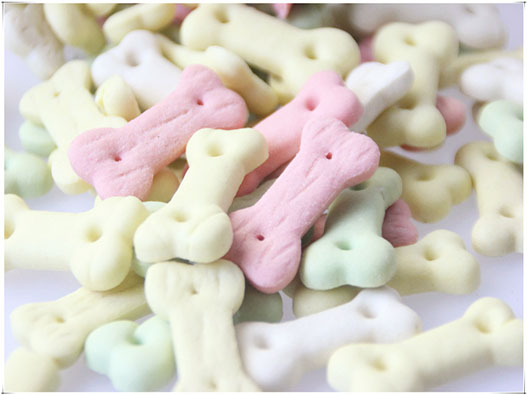 寵物餅干商標注冊哪一類?