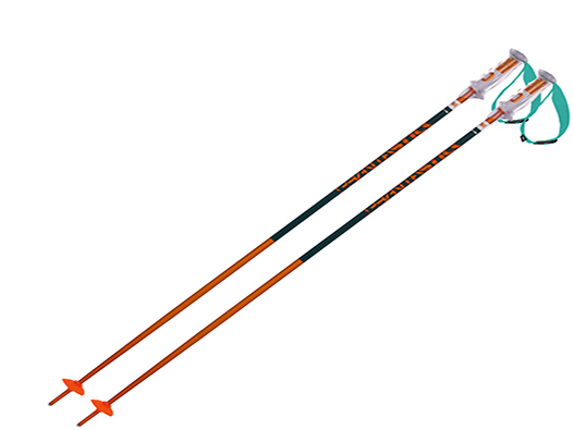 雪杖商標注冊哪一類？