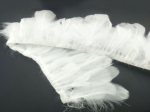 羽毛服飾商標注冊哪一類?