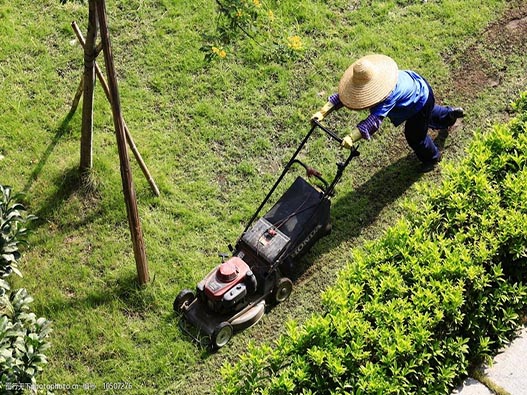 園林修理服務商標注冊哪一類?