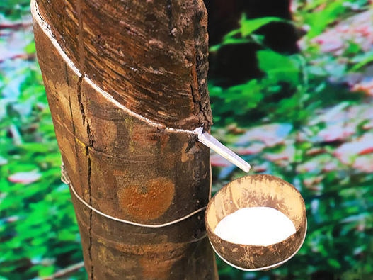 橡膠商標注冊哪一類?