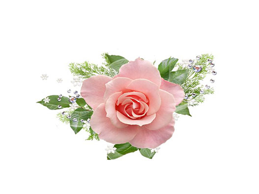 裝飾花商標注冊哪一類？