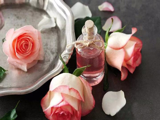 玫瑰油商標(biāo)注冊(cè)哪一類(lèi)?