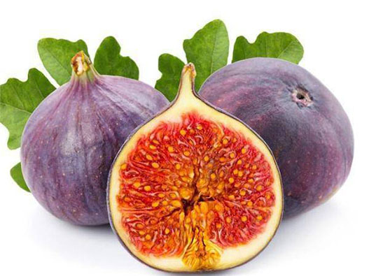 無花果商標注冊哪一類？