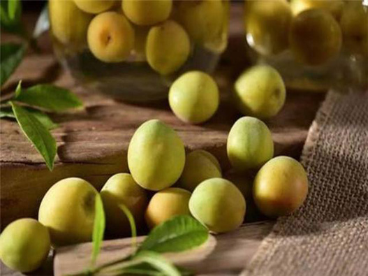 青梅商標注冊哪一類？