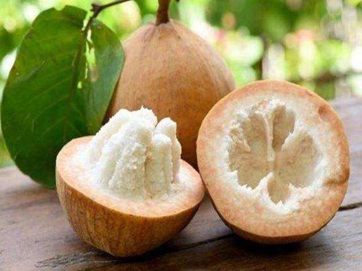 牛奶果商標注冊哪一類？