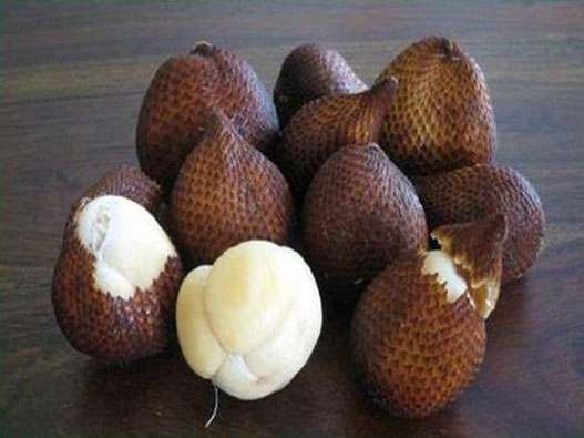 蛇皮果商標注冊哪一類？