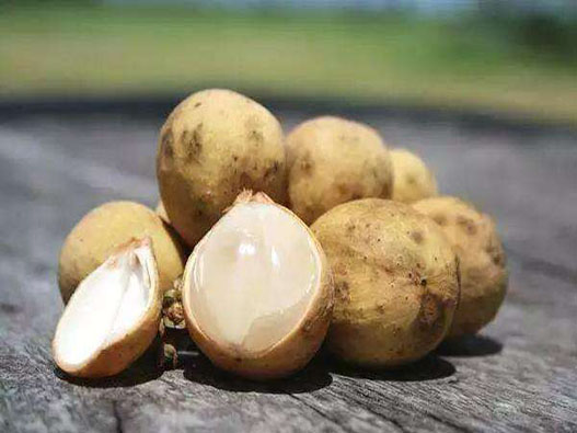 木奶果商標注冊哪一類？