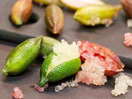 指橙商標注冊哪一類？