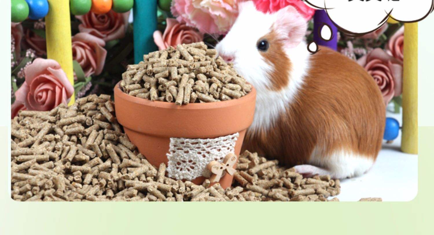 其他寵物食品商標注冊哪一類?