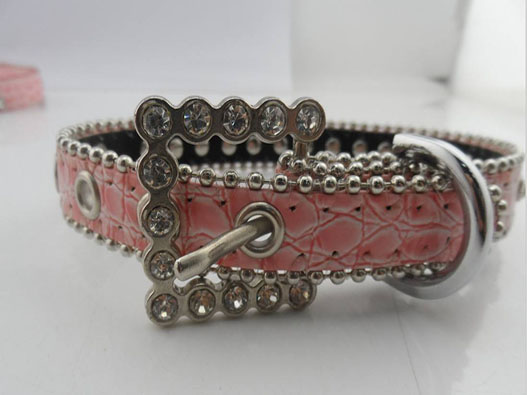 寵物項圈商標注冊哪一類?