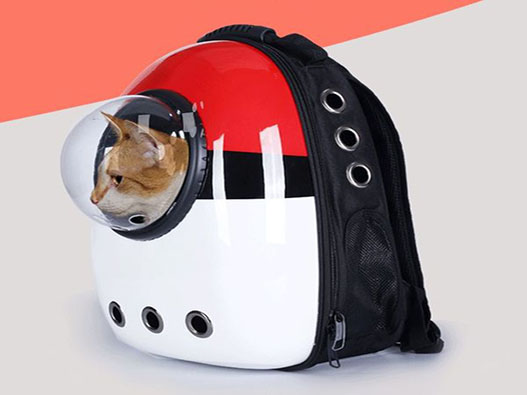 寵物包商標注冊哪一類?