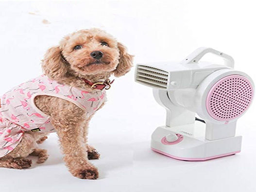 寵物吹風機商標注冊哪一類?