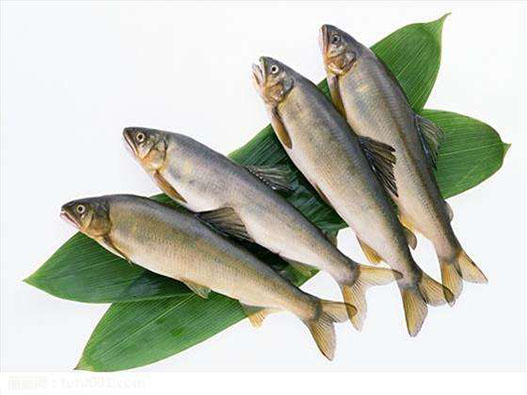 魚場商標注冊哪一類?