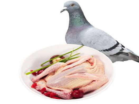 鴿場商標注冊哪一類?