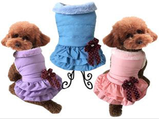 寵物服裝商標注冊哪一類?