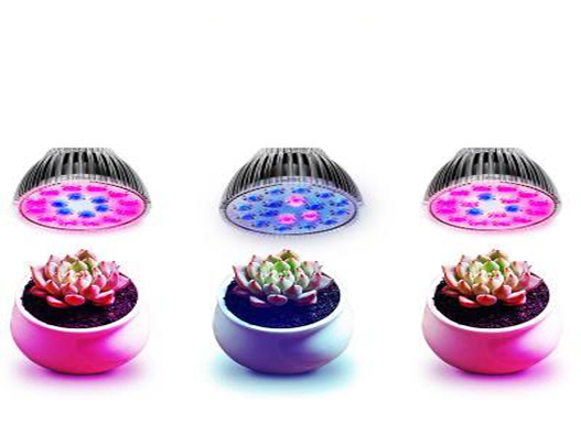 植物補光燈商標注冊哪一類?