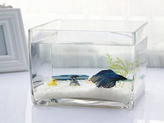 玻璃缸商標注冊哪一類?