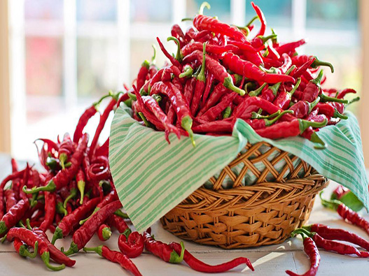 辣椒商標注冊哪一類?